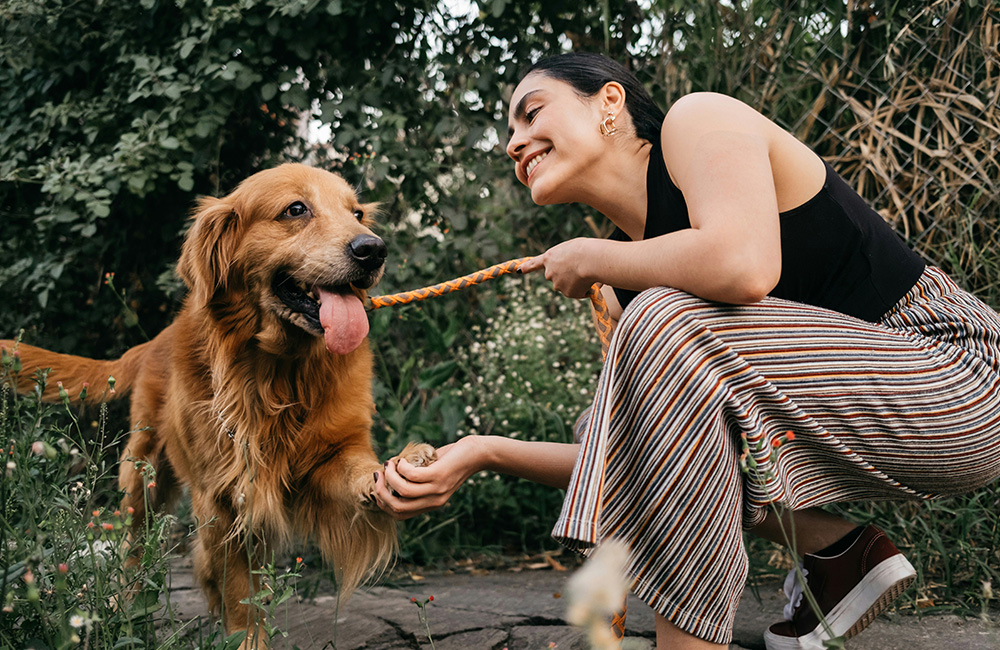 A woman kneeling down to shake hands with her happy dog