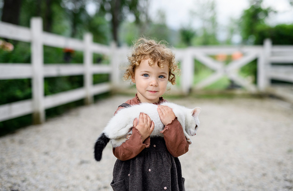 girl-with-cat A little girl holding a white cat in the yard of her country home