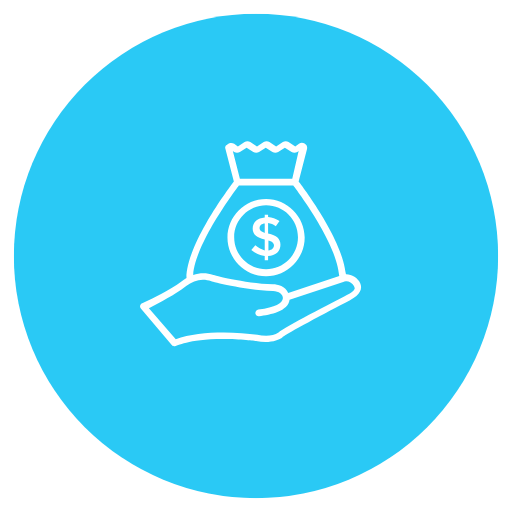 Budget icon